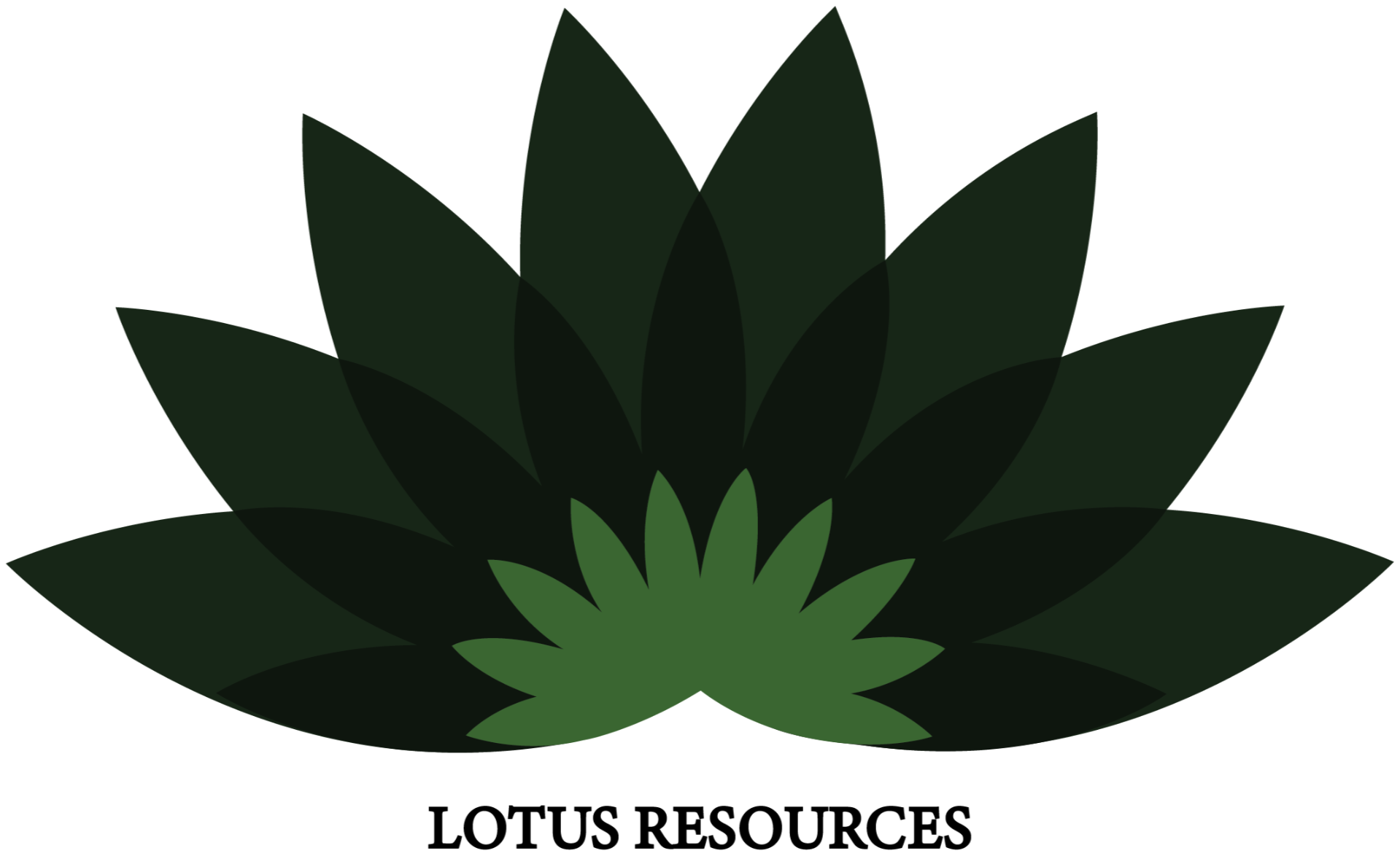 Lotus Resources